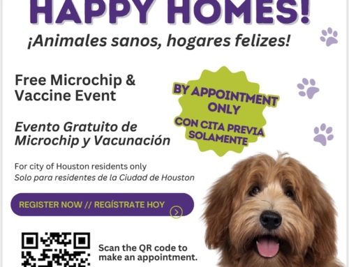 Healthy Pets, Happy Homes – Free Microchip & Vaccine Event, Nov. 9