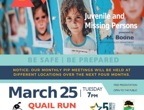 Southwest PIP Meeting: Juvenile and Missing Persons, March 25